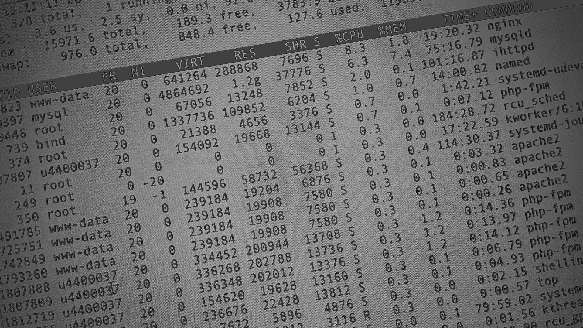 Настройка сервера в Выксе