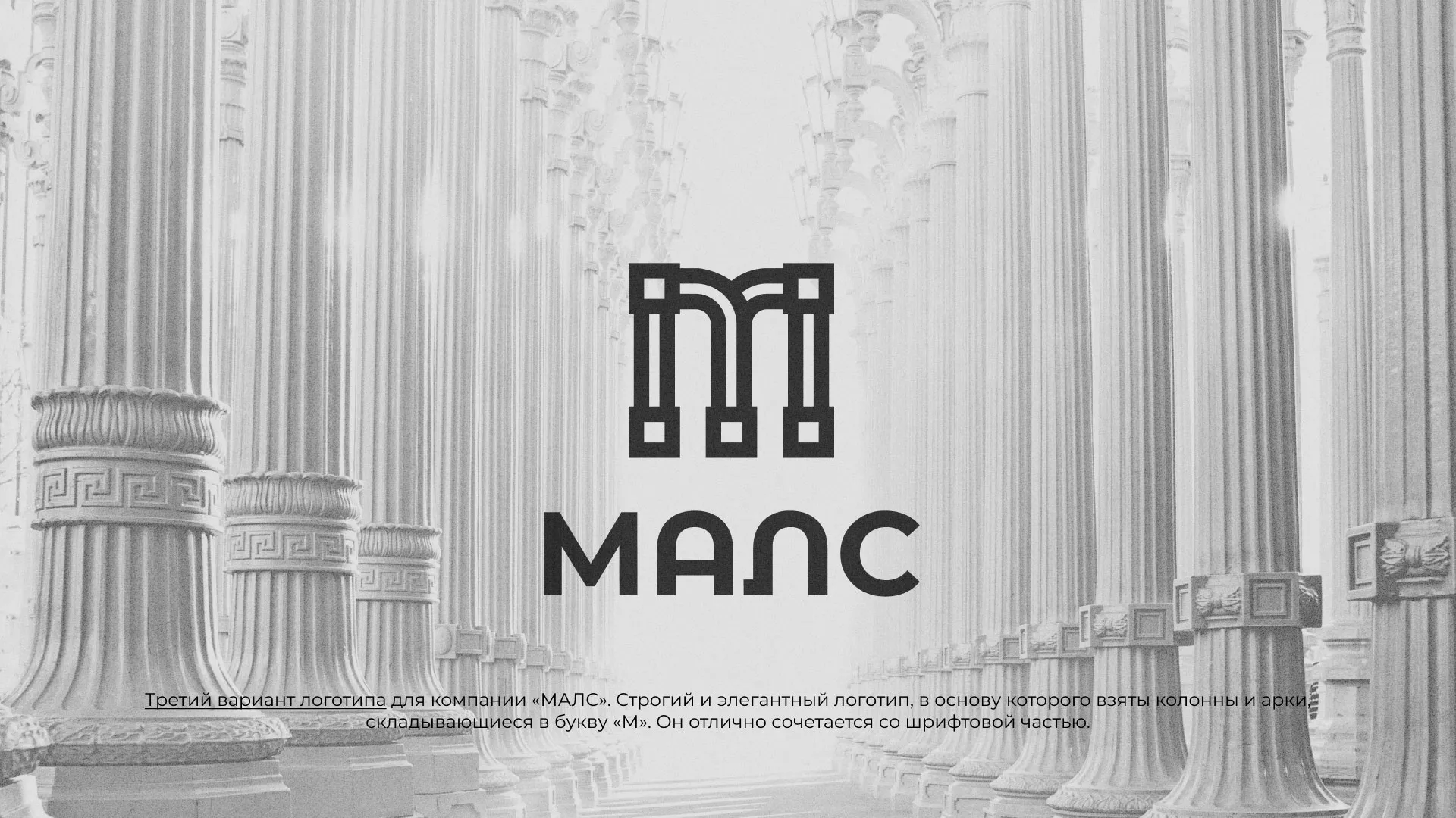 Разработка логотипа компании «МАЛС» в Выксе