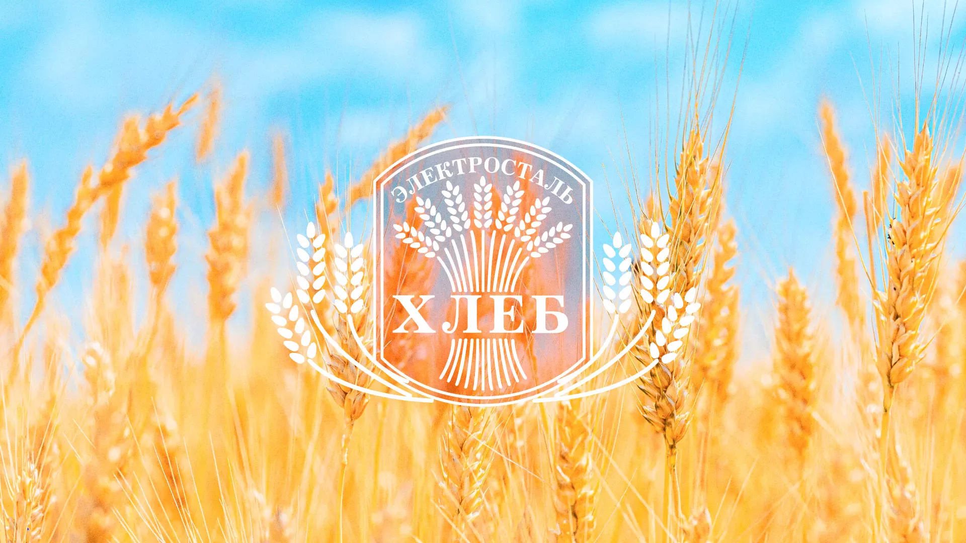 Создание сайта для хлебзавода в Выксе